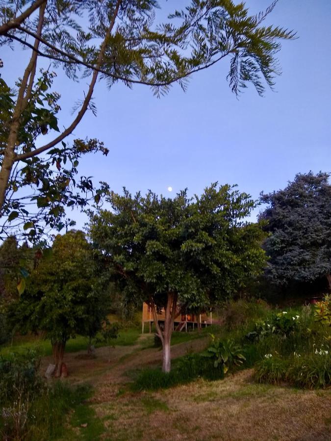 Cabana Agrreste (Adults Only) Nemocon Esterno foto